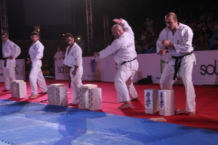 Martial Arts Festival